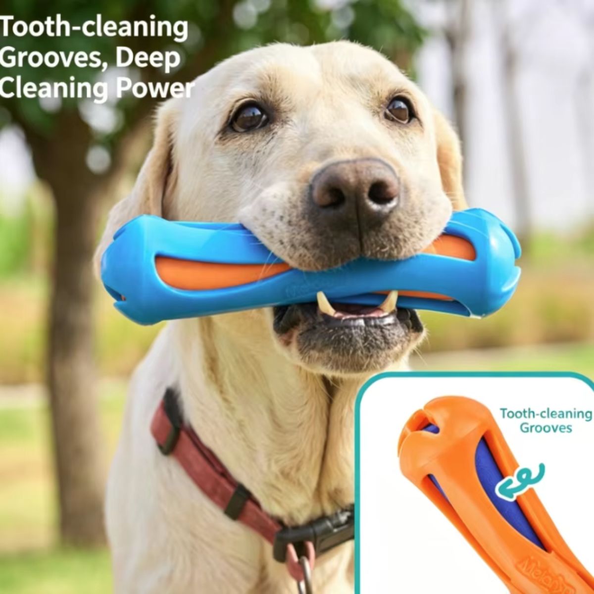 Interactive Floating Dog Swimming Chew Toy