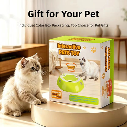 Interactive Electric Whack-a-Mole Cat Toy