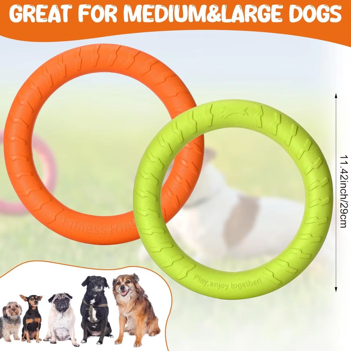 Indestructible Floating Dog Flying Disc